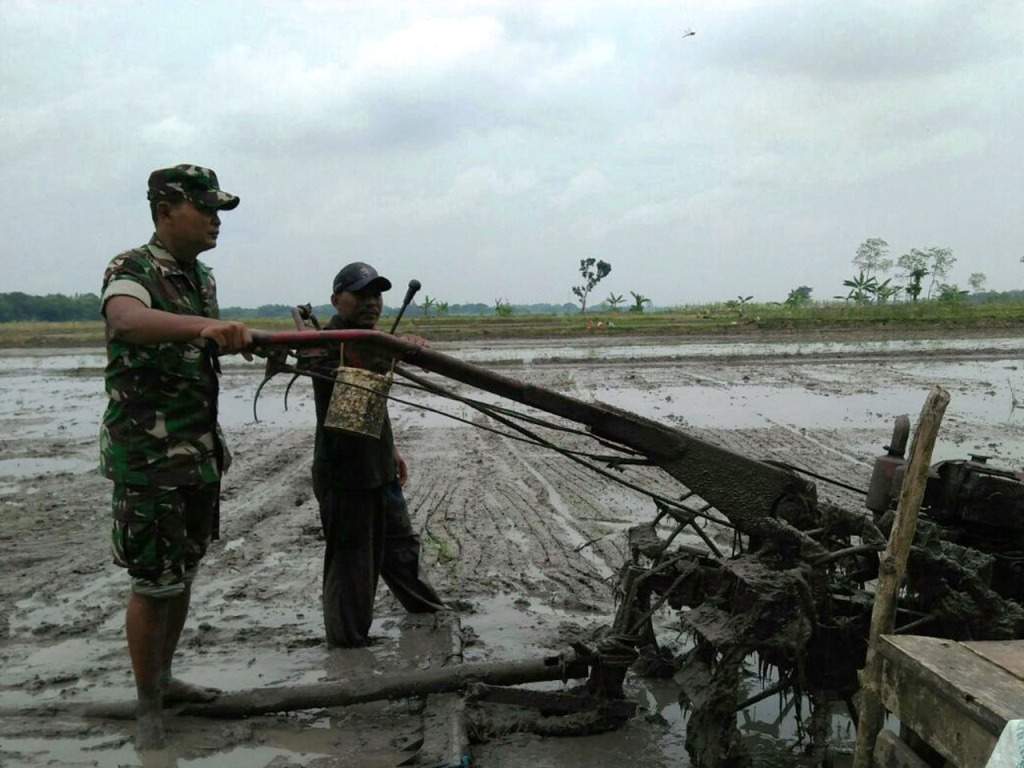 Percepat MT 2 Babinsa Purwodadi Bantu Siapkan Lahan Petani Untuk Tanam Padi
